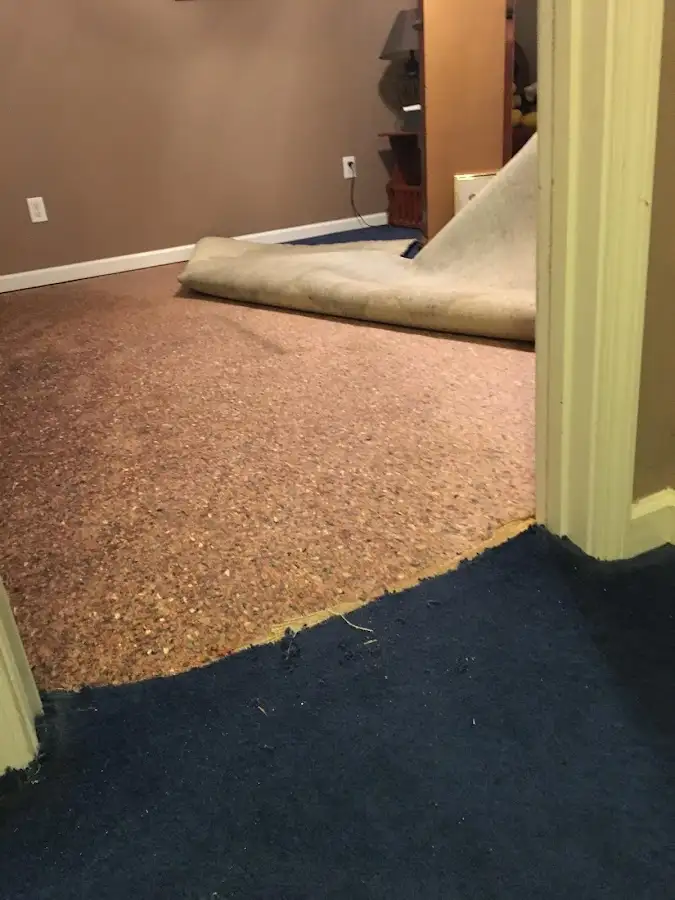 Carpet pad removal revealing water damage during Water Mitigation Services in Abbeville