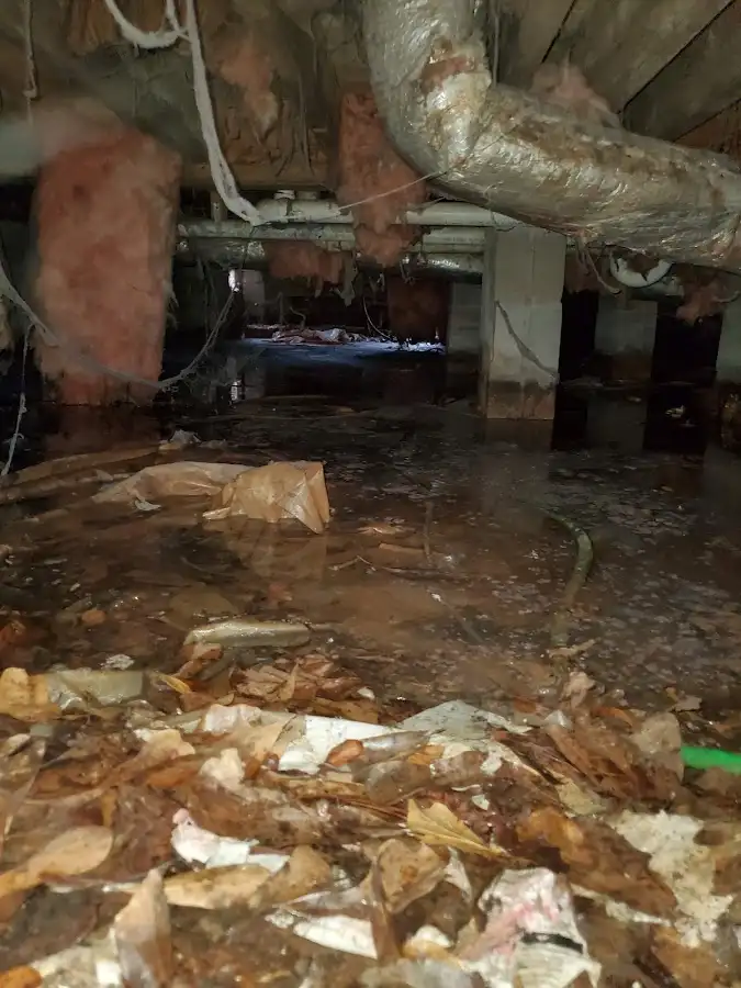 Crawl space flood assessment for Leak Detection & Repair in Abbeville